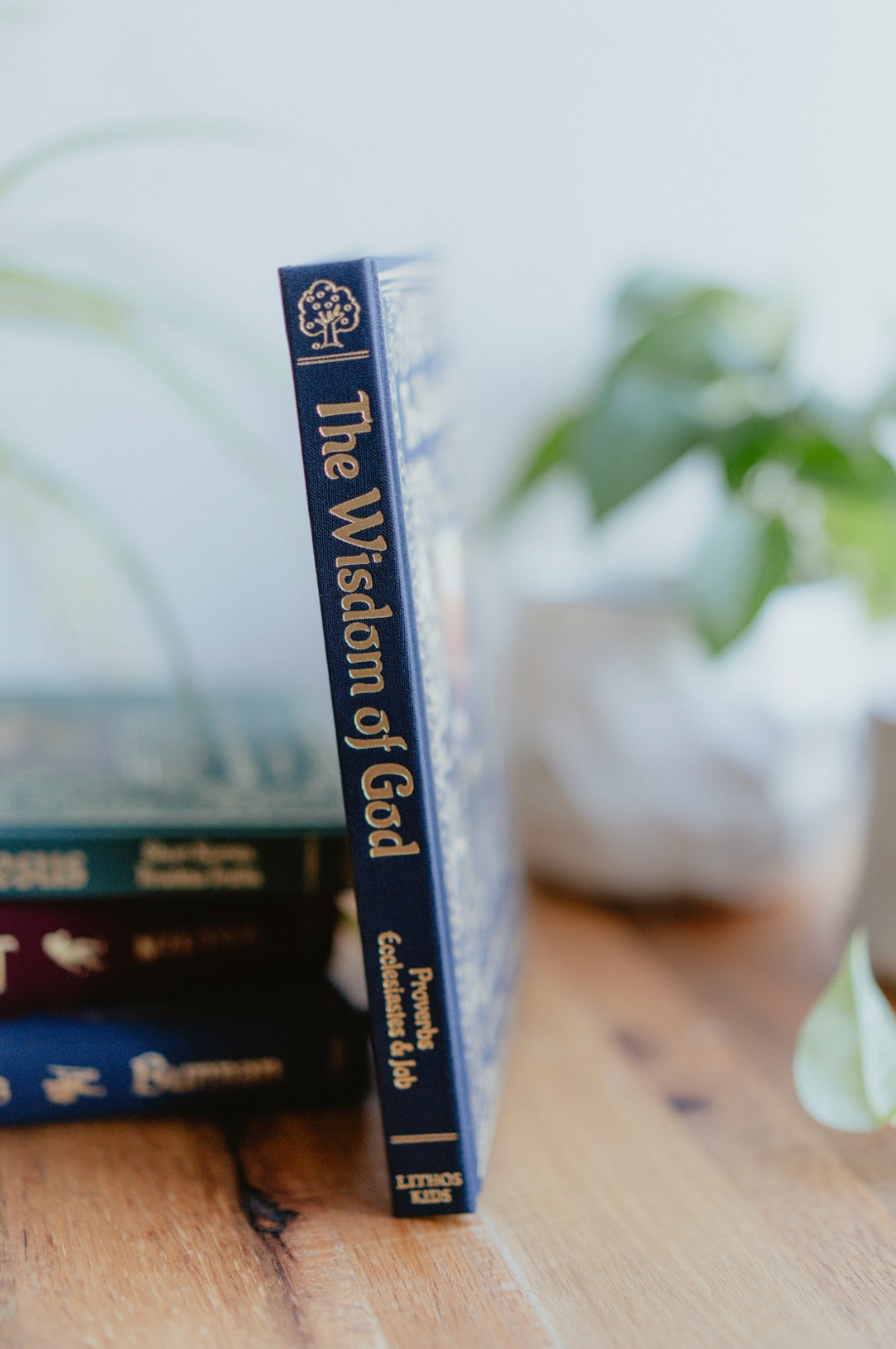 The Wisdom of God: Proverbs, Ecclesiastes, & Job