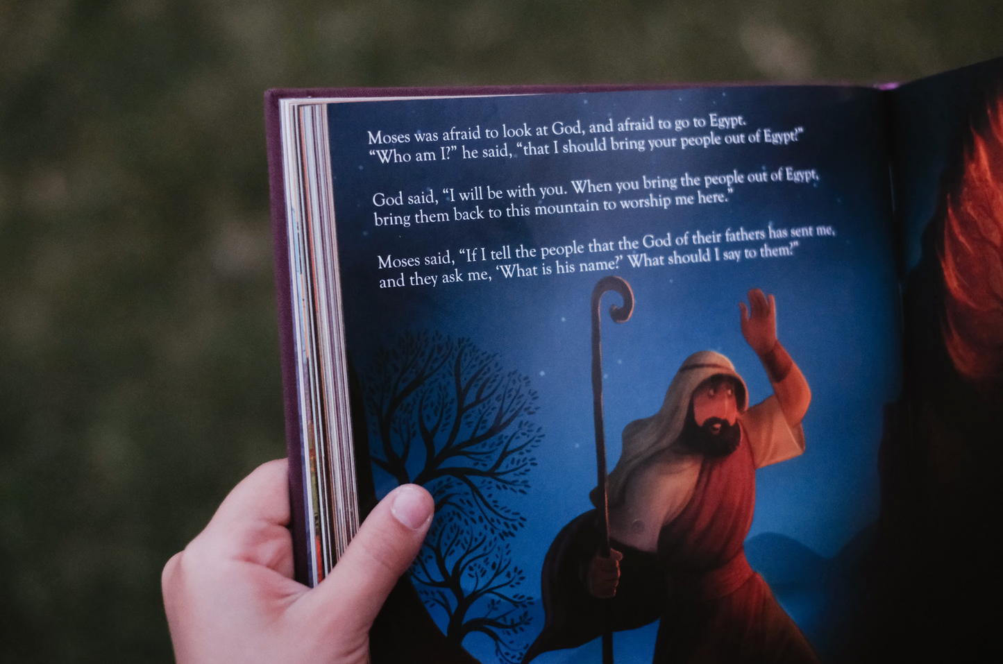 *BACK-ORDER* The Kingdom of God Bible Storybook, Old Testament